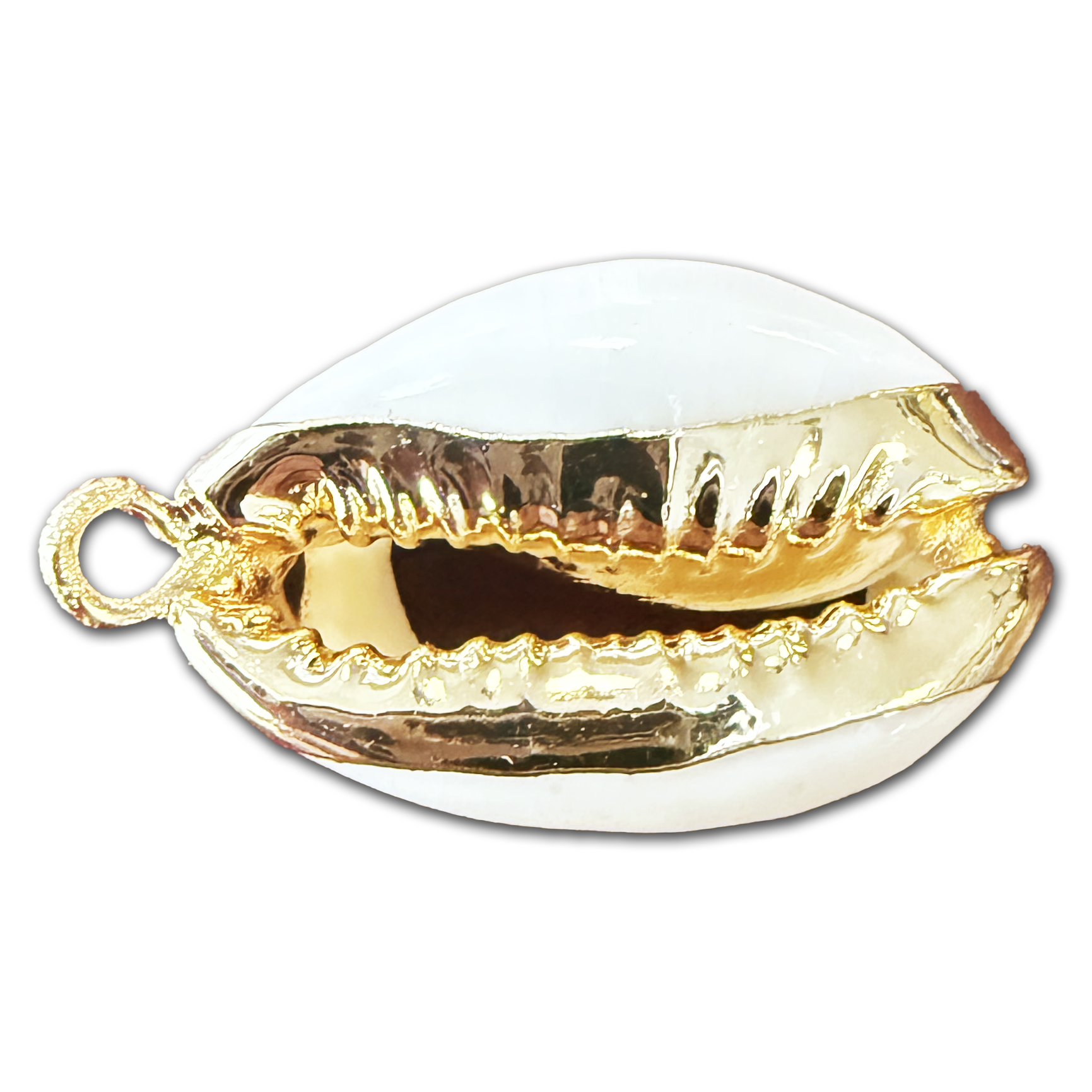 GriGri 301 - 400