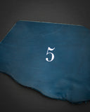 <tc>5-year diary</tc>