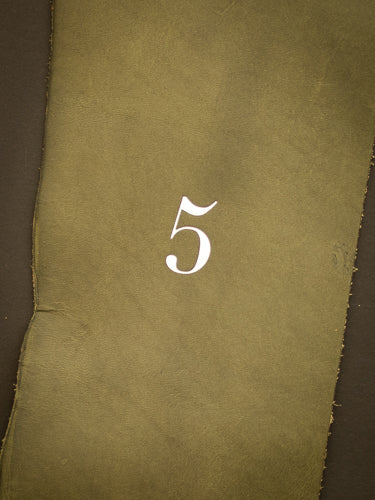 <tc>5-year diary</tc>