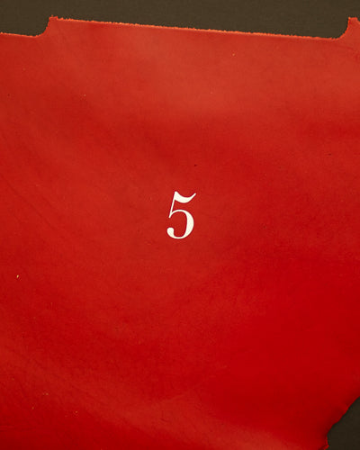 <tc>5-year diary</tc>