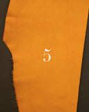 <tc>5-year diary</tc>