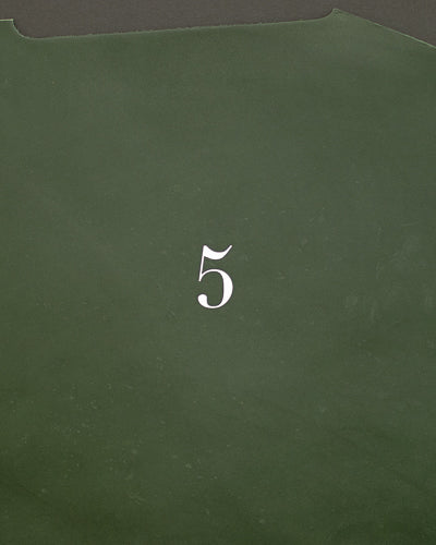 <tc>5-year diary</tc>