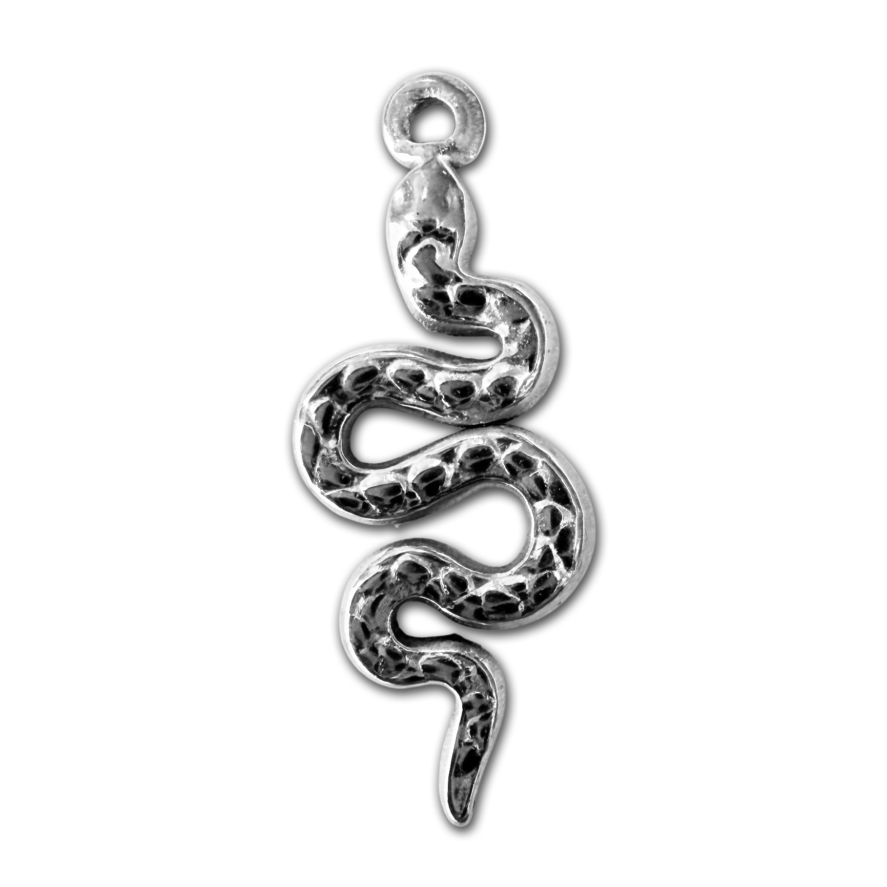 BP 2 - Nature, Animaux