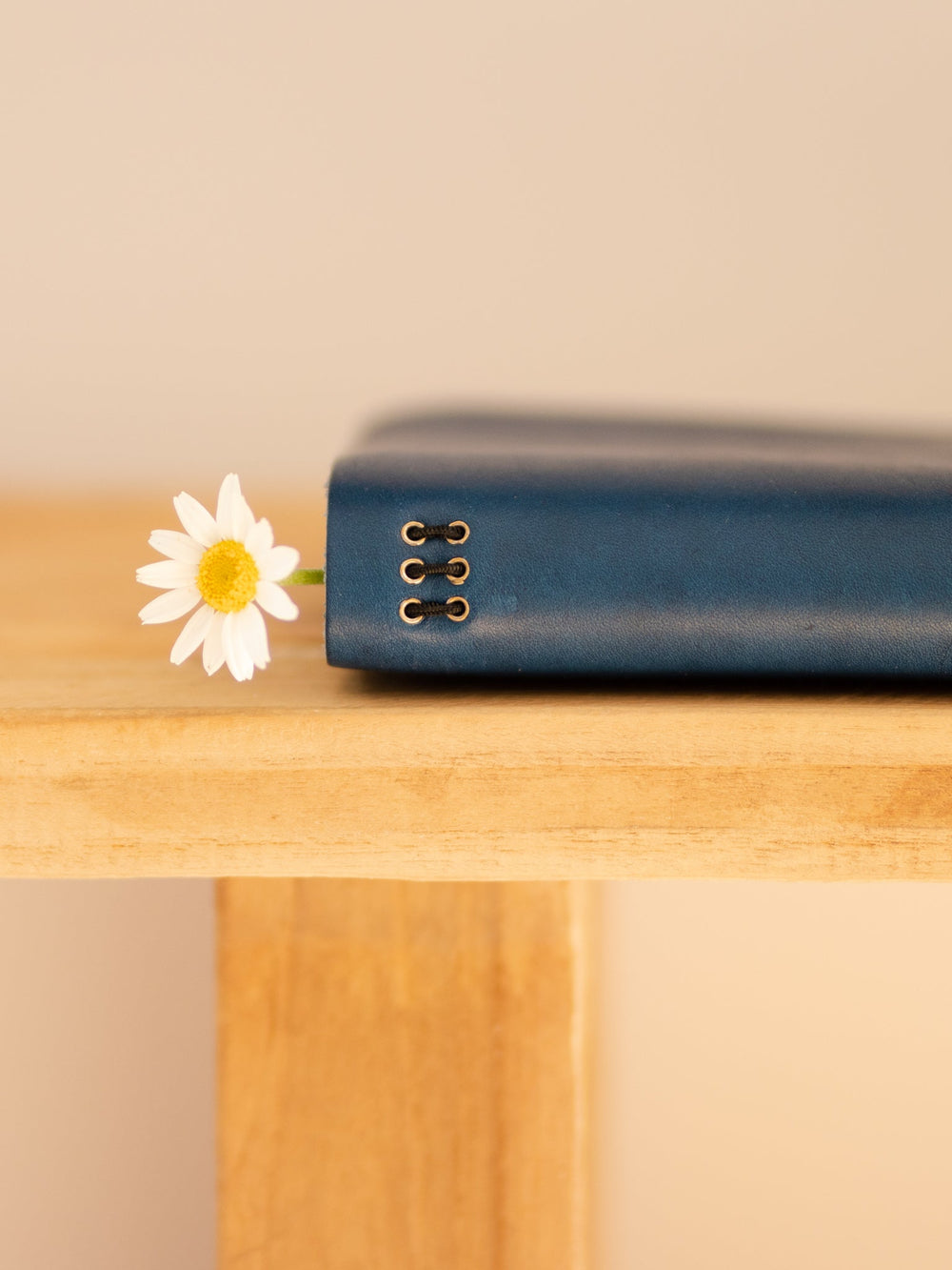 <tc>5-year diary</tc>