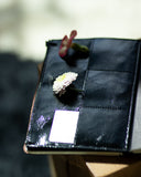 Portfolio Jack (M)